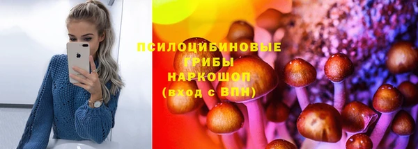 крисы Алексеевка