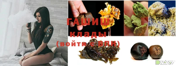 spice Алзамай