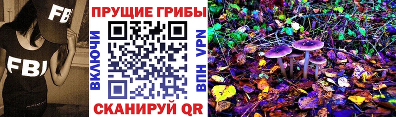 Галлюциногенные грибы Psilocybine cubensis  МЕГА вход  Копейск  хочу наркоту 
