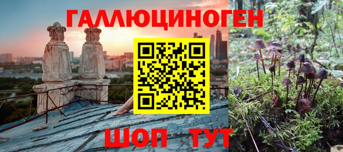 Псилоцибиновые грибы мухоморы  Вход с VPN  Псилоцибиновые грибы мухоморы  Копейск 